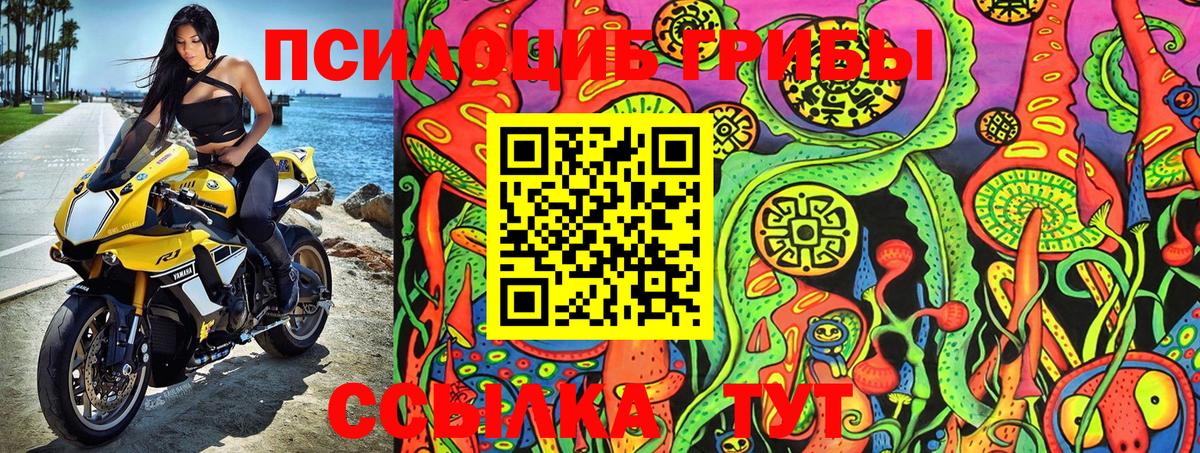 Чусовой  Псилоцибиновые грибы Magic Shrooms  Галлюциногенные грибы Magic Shrooms  Вход с VPN 
