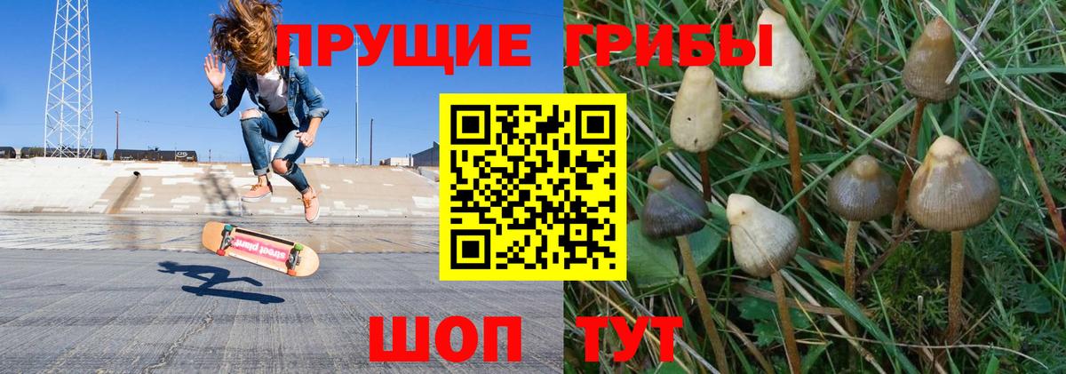 Псилоцибиновые грибы Magic Shrooms Чусовой
